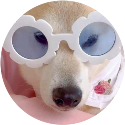logo Iro-Chan