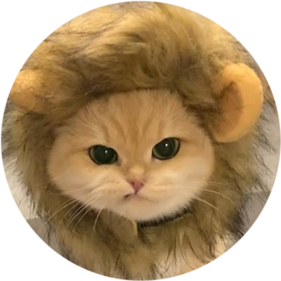 logo Not a lion, a