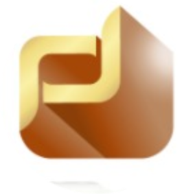 logo Phillips Pay Coin