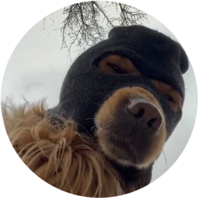 logo SKI MASK DOG