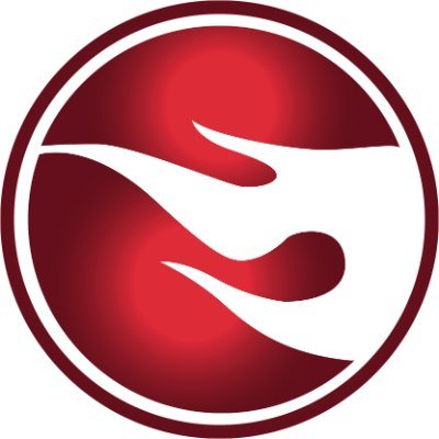 logo FusedNFurious