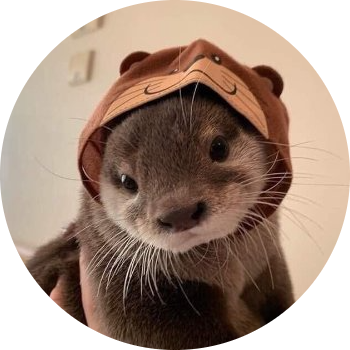 logo Otty the Otter