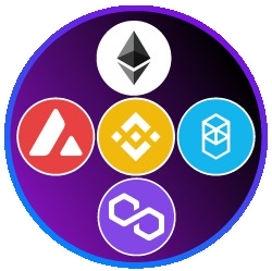 logo Multiverse Capital