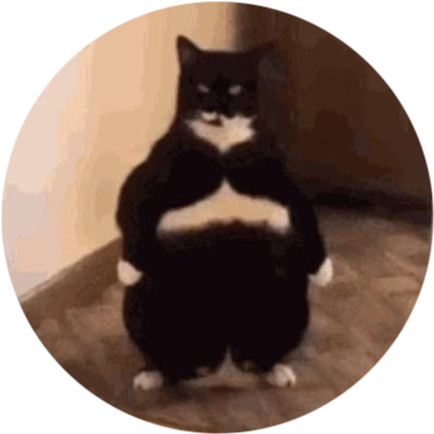 logo Fat Cat