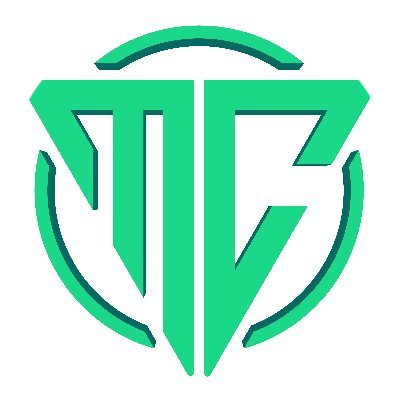 logo VisaMetaFi
