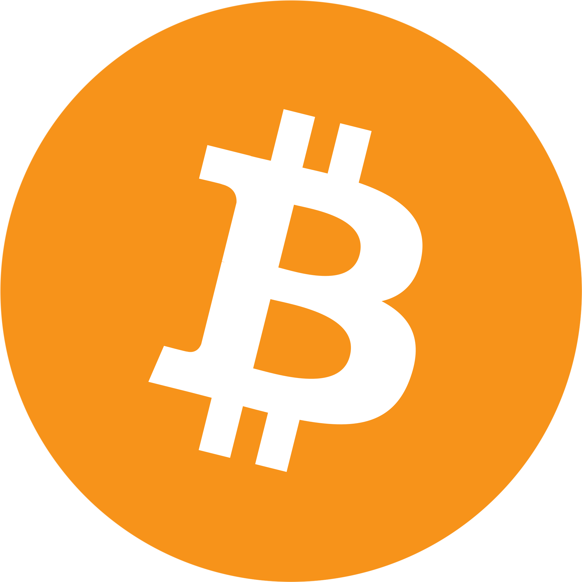 logo Bitcoin Avalanche Bridged