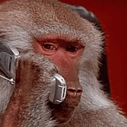 logo Monke Phone