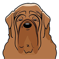 logo Dosa