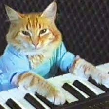 logo Keyboard Cat
