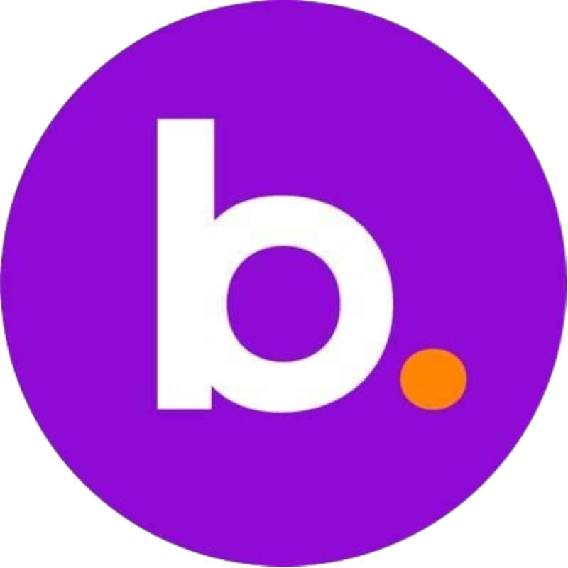 logo BNS Token (OLD)