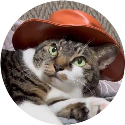 logo Сat wif hat