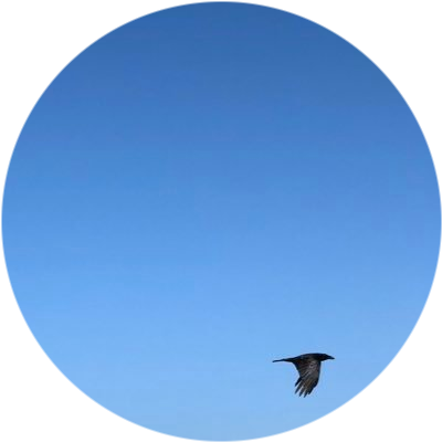 logo Bluesky
