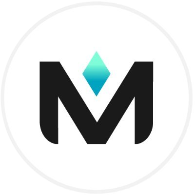 logo MetaBrands