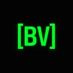 logo Belief Velocity