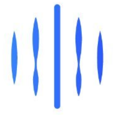 logo NDN Link