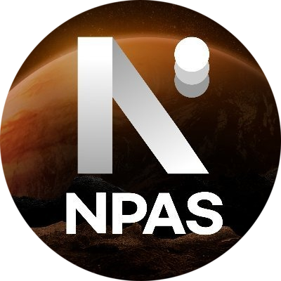 logo New Paradigm Assets Solution
