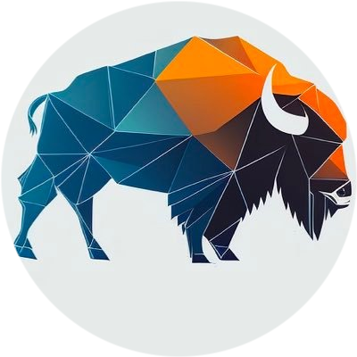 logo Bison Network