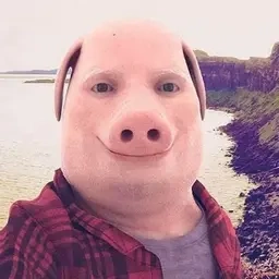 logo The Cult of John Pork