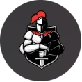 logo Paladin DAO
