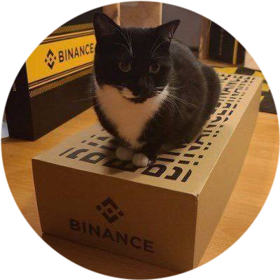 logo Binance Cat