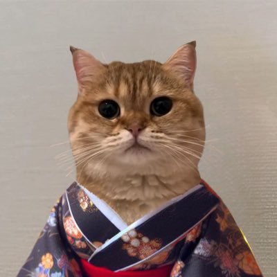 logo Cat Own Kimono