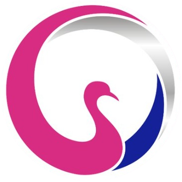logo Cygnetise