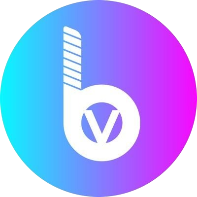 logo BitValley