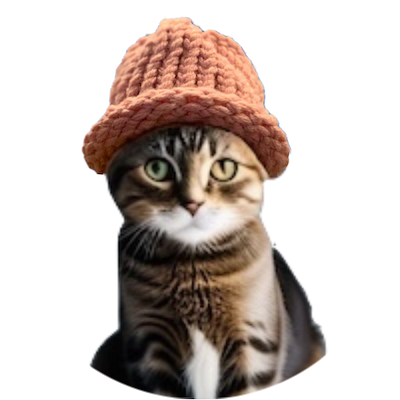 logo catwifhat