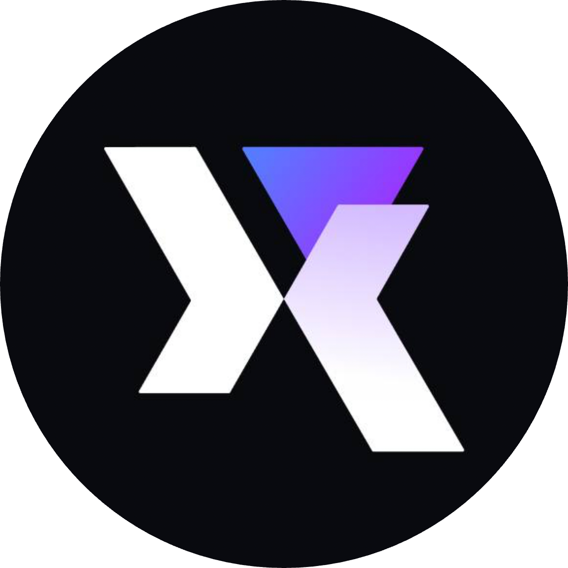logo RAYS Protocol