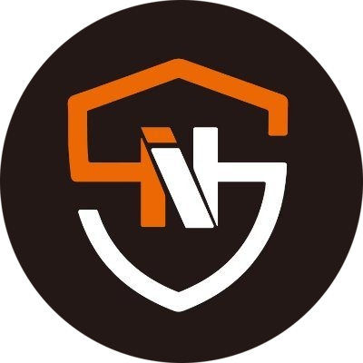 logo INS3