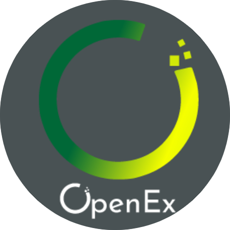 logo OpenEx