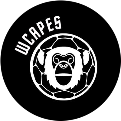 logo WCAPES