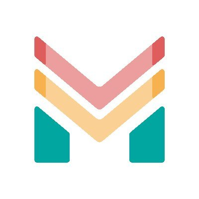 logo MapMetrics