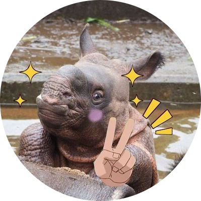 logo The Baby Rhino In Tama Zoo