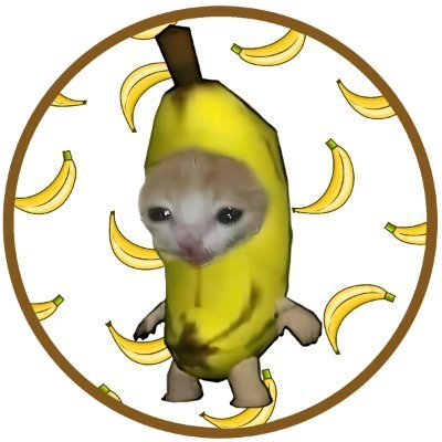 logo BananaCat