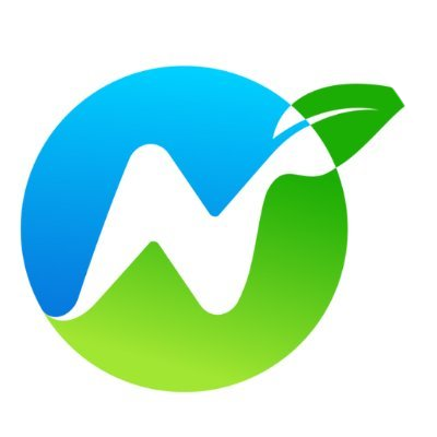logo NetZero