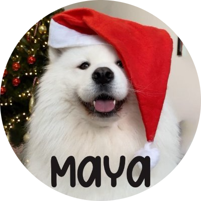 logo Maya