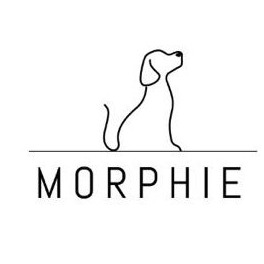 logo Morphie Network
