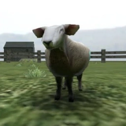 logo Crazy Cattle 3D