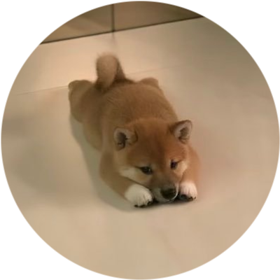 logo INU