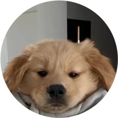 logo BroDogCoin