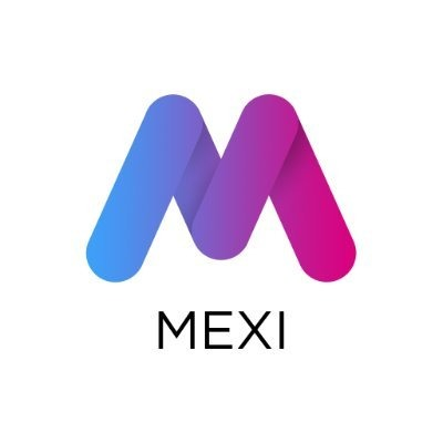 logo Metaxiz