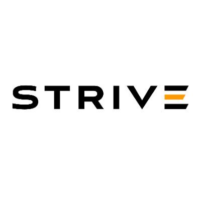 logo Strive