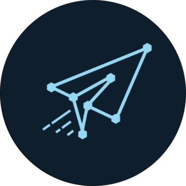 logo Satoshi Airlines Token