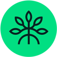 logo Mangrove