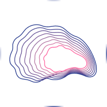 logo Carapace Finance