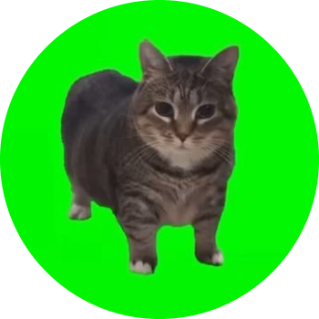 logo spinning cat