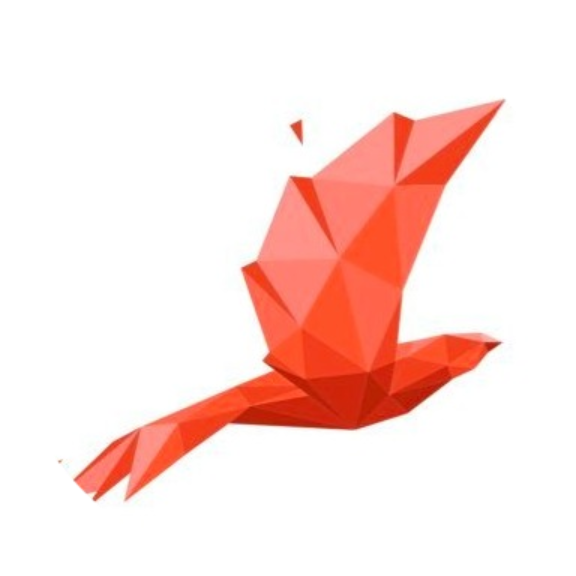 logo Bird.Money