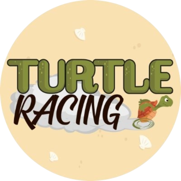 logo Turtle Racing