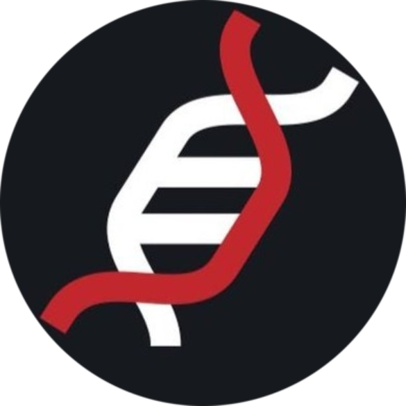 logo Evolution Finance